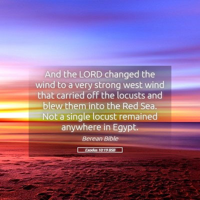 Picture 05 - Exodus 10:19 BSB - And the LORD changed the wind to a very strong - Bible Verse Picture