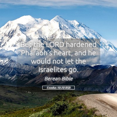 Picture 05 - Exodus 10:20 BSB - But the LORD hardened Pharaoh’s heart, and he - Bible Verse Picture
