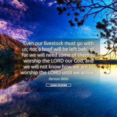 Picture 05 - Exodus 10:26 BSB - Even our livestock must go with us; not a hoof - Bible Verse Picture