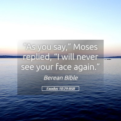 Picture 05 - Exodus 10:29 BSB - “As you say,” Moses replied, “I will never - Bible Verse Picture