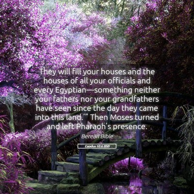 Picture 05 - Exodus 10:6 BSB - They will fill your houses and the houses of all - Bible Verse Picture