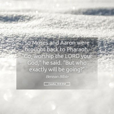 Picture 05 - Exodus 10:8 BSB - So Moses and Aaron were brought back to Pharaoh. - Bible Verse Picture