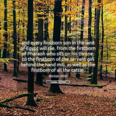 Picture 05 - Exodus 11:5 BSB - and every firstborn son in the land of Egypt will - Bible Verse Picture