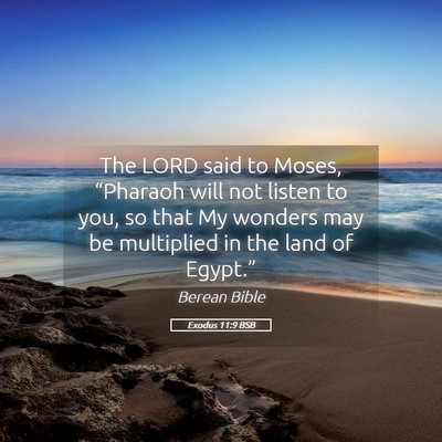 Picture 05 - Exodus 11:9 BSB - The LORD said to Moses, “Pharaoh will not - Bible Verse Picture