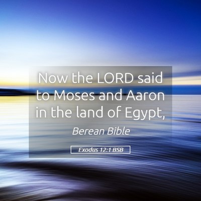 Picture 05 - Exodus 12:1 BSB - Now the LORD said to Moses and Aaron in the land - Bible Verse Picture