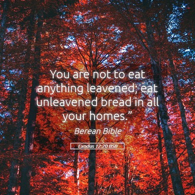Picture 05 - Exodus 12:20 BSB - You are not to eat anything leavened; eat - Bible Verse Picture
