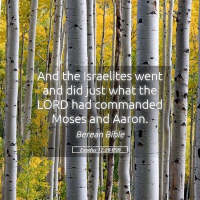 Picture 05 - Exodus 12:28 BSB - And the Israelites went and did just what the - Bible Verse Picture