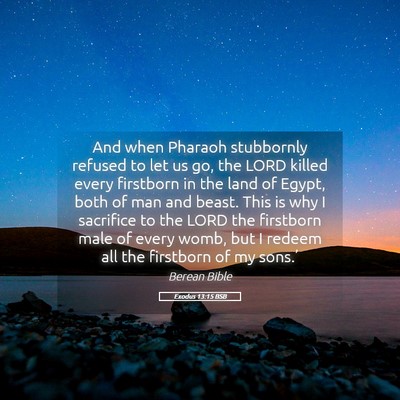 Picture 05 - Exodus 13:15 BSB - And when Pharaoh stubbornly refused to let us go, - Bible Verse Picture