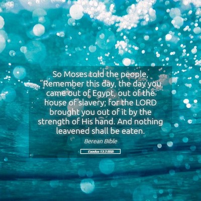 Picture 05 - Exodus 13:3 BSB - So Moses told the people, “Remember this day, - Bible Verse Picture