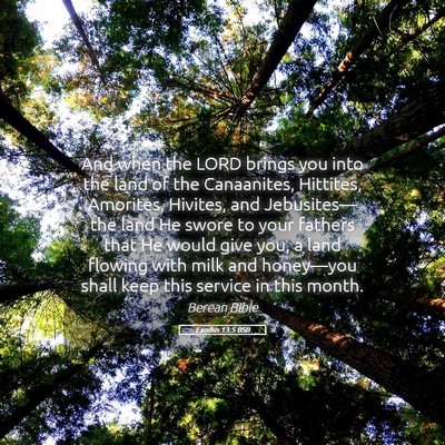 Picture 05 - Exodus 13:5 BSB - And when the LORD brings you into the land of the - Bible Verse Picture