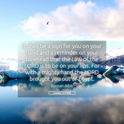 Picture 05 - Exodus 13:9 BSB - It shall be a sign for you on your hand and a - Bible Verse Picture