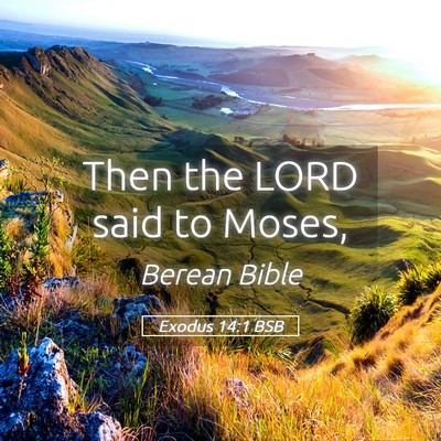 Picture 05 - Exodus 14:1 BSB - Then the LORD said to - Bible Verse Picture