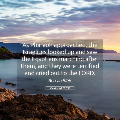Picture 05 - Exodus 14:10 BSB - As Pharaoh approached, the Israelites looked up - Bible Verse Picture