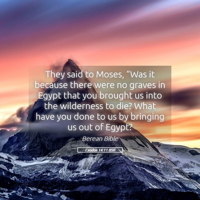 Picture 05 - Exodus 14:11 BSB - They said to Moses, “Was it because there were - Bible Verse Picture