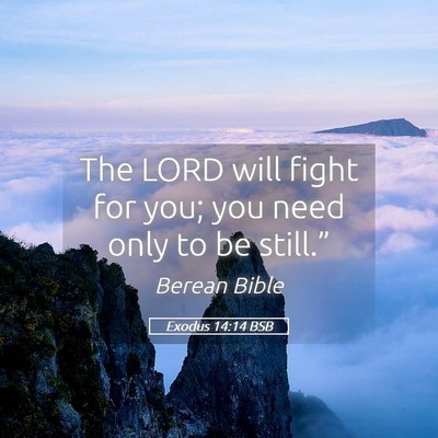 Picture 05 - Exodus 14:14 BSB - The LORD will fight for you; you need only to be - Bible Verse Picture