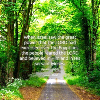 Picture 05 - Exodus 14:31 BSB - When Israel saw the great power that the LORD had - Bible Verse Picture