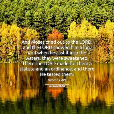 Picture 05 - Exodus 15:25 BSB - And Moses cried out to the LORD, and the LORD - Bible Verse Picture
