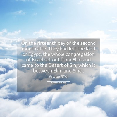 Picture 05 - Exodus 16:1 BSB - On the fifteenth day of the second month after - Bible Verse Picture