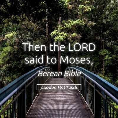 Picture 05 - Exodus 16:11 BSB - Then the LORD said to - Bible Verse Picture