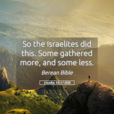 Picture 05 - Exodus 16:17 BSB - So the Israelites did this. Some gathered more, - Bible Verse Picture