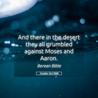 Picture 05 - Exodus 16:2 BSB - And there in the desert they all grumbled against - Bible Verse Picture
