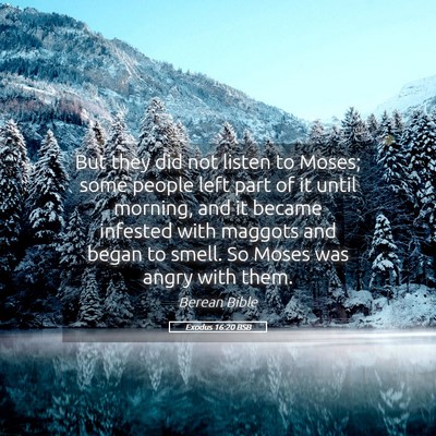 Picture 05 - Exodus 16:20 BSB - But they did not listen to Moses; some people - Bible Verse Picture