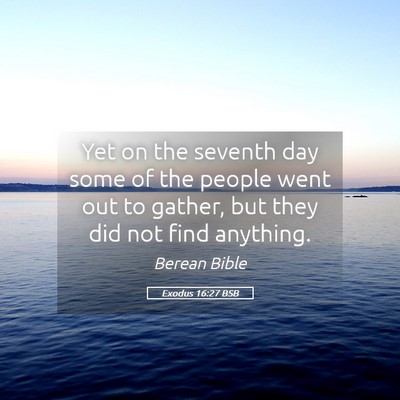 Picture 05 - Exodus 16:27 BSB - Yet on the seventh day some of the people went - Bible Verse Picture