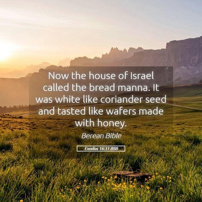 Picture 05 - Exodus 16:31 BSB - Now the house of Israel called the bread manna. - Bible Verse Picture