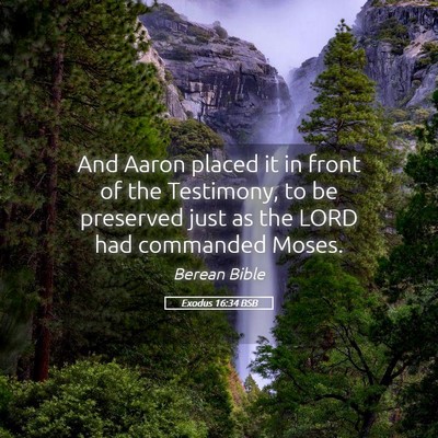 Picture 05 - Exodus 16:34 BSB - And Aaron placed it in front of the Testimony, to - Bible Verse Picture