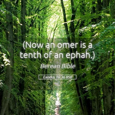 Picture 05 - Exodus 16:36 BSB - (Now an omer is a tenth of an - Bible Verse Picture