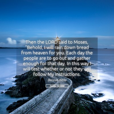 Picture 05 - Exodus 16:4 BSB - Then the LORD said to Moses, “Behold, I will - Bible Verse Picture