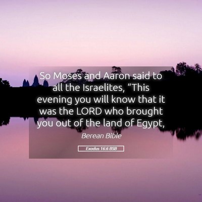 Picture 05 - Exodus 16:6 BSB - So Moses and Aaron said to all the Israelites, - Bible Verse Picture