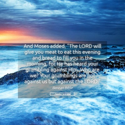 Picture 05 - Exodus 16:8 BSB - And Moses added, “The LORD will give you meat - Bible Verse Picture