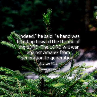 Picture 05 - Exodus 17:16 BSB - “Indeed,” he said, “a hand was lifted up - Bible Verse Picture