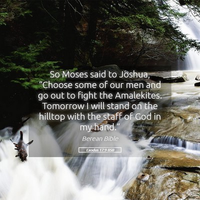 Picture 05 - Exodus 17:9 BSB - So Moses said to Joshua, “Choose some of our - Bible Verse Picture