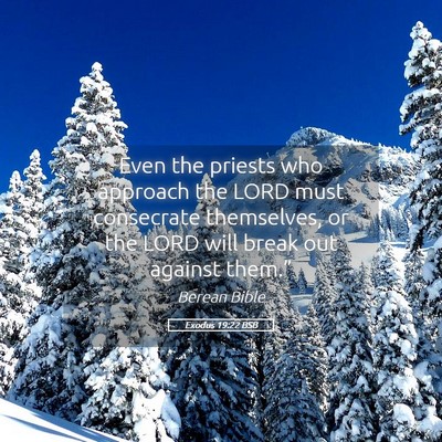 Picture 05 - Exodus 19:22 BSB - Even the priests who approach the LORD must - Bible Verse Picture