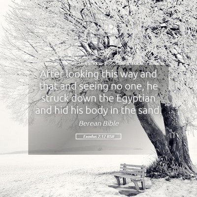 Picture 05 - Exodus 2:12 BSB - After looking this way and that and seeing no - Bible Verse Picture