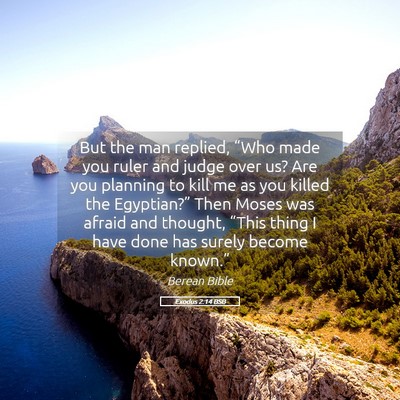 Picture 05 - Exodus 2:14 BSB - But the man replied, “Who made you ruler and - Bible Verse Picture