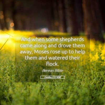 Picture 05 - Exodus 2:17 BSB - And when some shepherds came along and drove them - Bible Verse Picture
