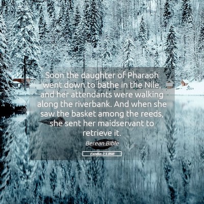 Picture 05 - Exodus 2:5 BSB - Soon the daughter of Pharaoh went down to bathe - Bible Verse Picture