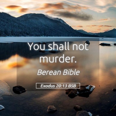 Picture 05 - Exodus 20:13 BSB - You shall not - Bible Verse Picture