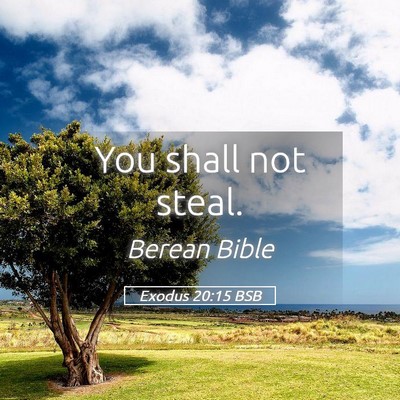 Picture 05 - Exodus 20:15 BSB - You shall not - Bible Verse Picture