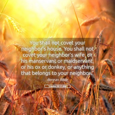 Picture 05 - Exodus 20:17 BSB - You shall not covet your neighbor’s house. You - Bible Verse Picture