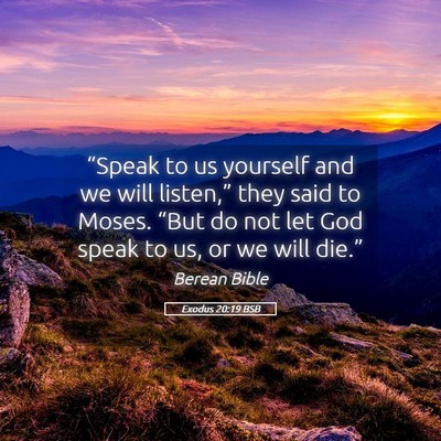 Picture 05 - Exodus 20:19 BSB - “Speak to us yourself and we will listen,” - Bible Verse Picture