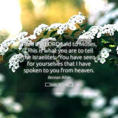 Picture 05 - Exodus 20:22 BSB - Then the LORD said to Moses, “This is what you - Bible Verse Picture