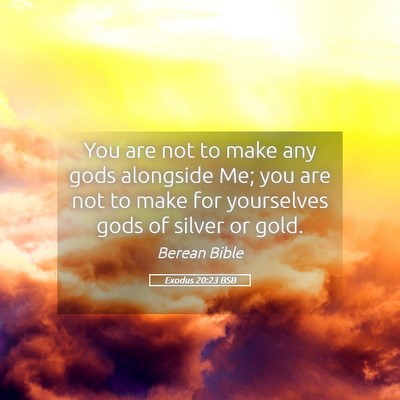 Picture 05 - Exodus 20:23 BSB - You are not to make any gods alongside Me; you - Bible Verse Picture