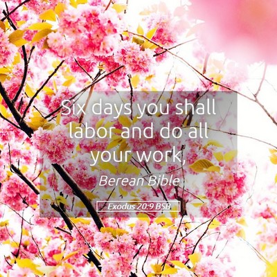 Picture 05 - Exodus 20:9 BSB - Six days you shall labor and do all your - Bible Verse Picture