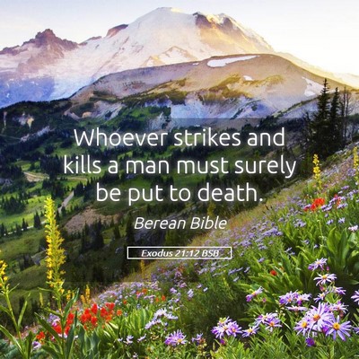 Picture 05 - Exodus 21:12 BSB - Whoever strikes and kills a man must surely be - Bible Verse Picture