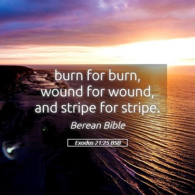 Picture 05 - Exodus 21:25 BSB - burn for burn, wound for wound, and stripe for - Bible Verse Picture