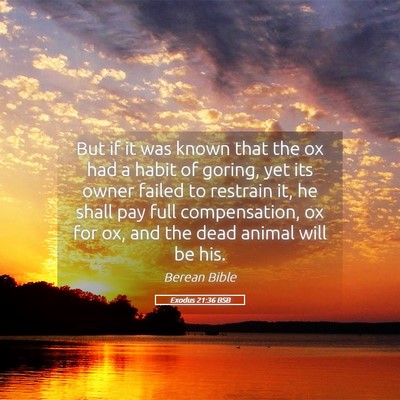 Picture 05 - Exodus 21:36 BSB - But if it was known that the ox had a habit of - Bible Verse Picture